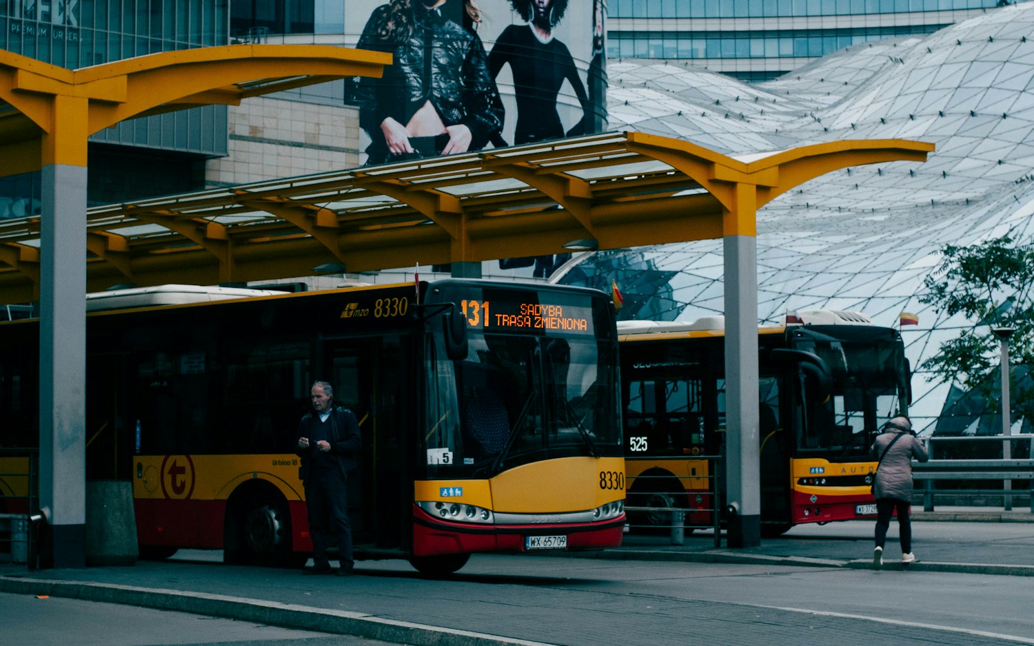 Autobuses turísticos estacionados uno al lado del otro