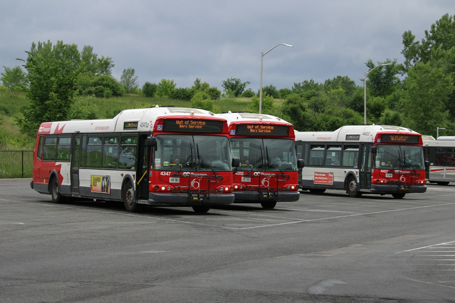 Flota de autobuses turísticos estacionados en una terminal